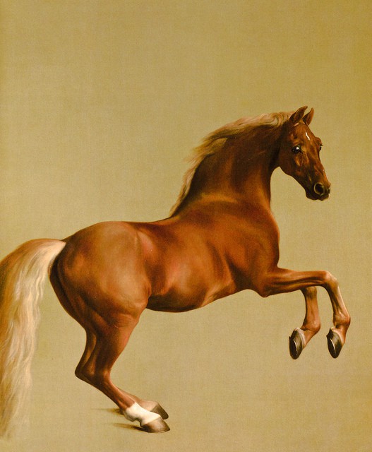 George Stubbs - Whistlejacket, 1762 at the National Gallery London England